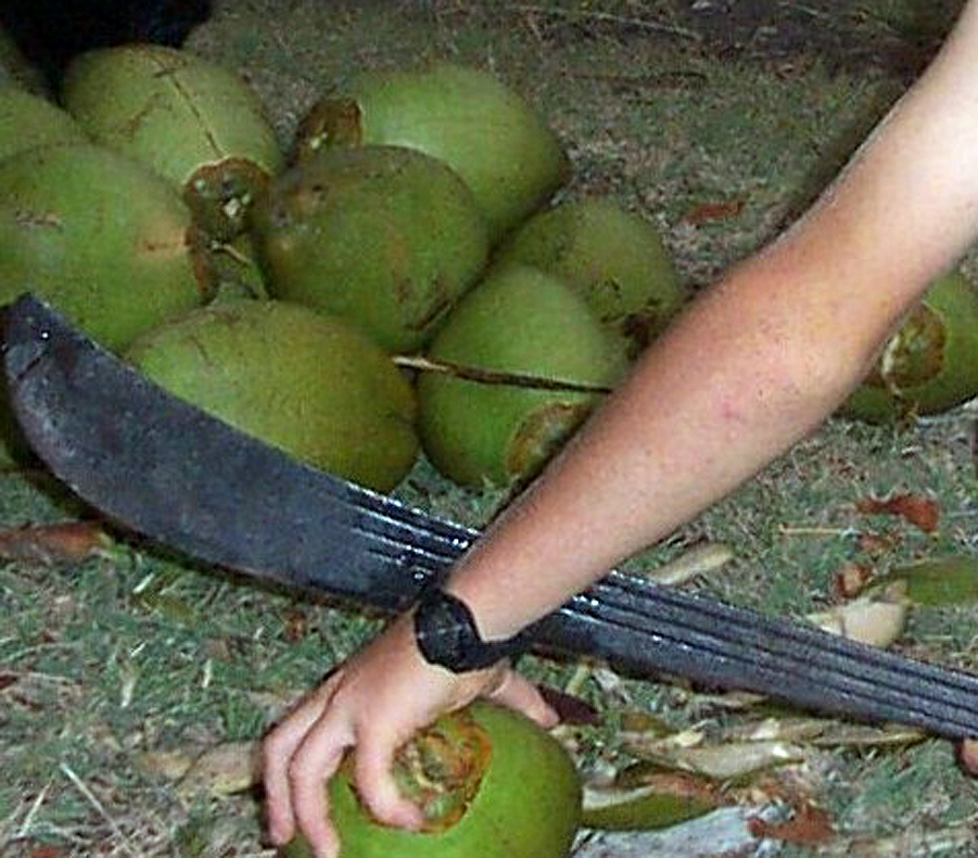 Coconut meets machete - Maui, Hawaii Coconut meets machete
