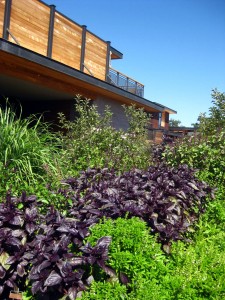 bardessono organic garden