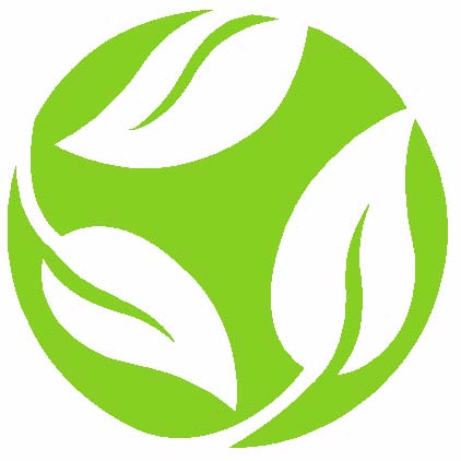 Why travel green