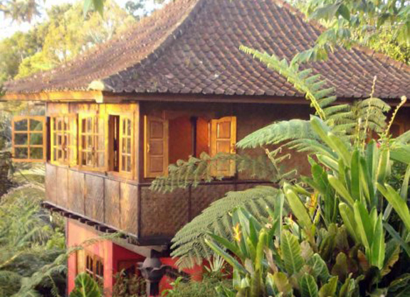 Jungle House at Sarinbuana Eco-lodge - Tabanan, Bali, Indonesia Sarinbuana Jungle House