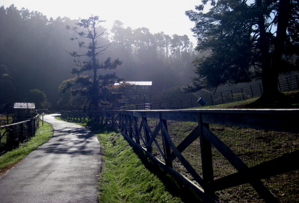 Stanford Inn By The Sea - Mendocino, California, USA A lane at Stanford Inn By The Sea - Mendocino, California, USA