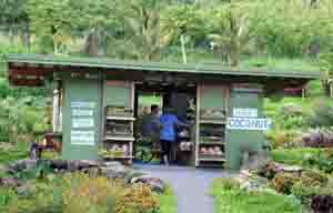 Laulima Farms roadside stand in Kipahulu, Maui, Hawaii, USA