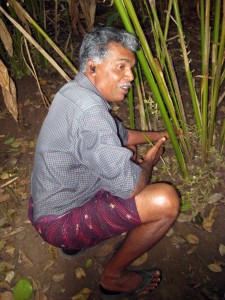 Mr. Abraham conducts tours of his organic spice garden