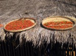 Akha village - near Chaing Rai, Thailand