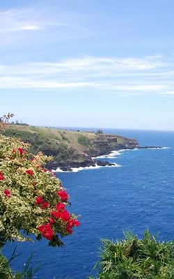 Waipio Bay view from The Cliff's Edge on Maui, Hawaii, USA