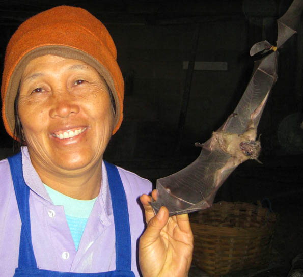 Barbecued Bat On A Stick for sale at a market near Khum Lanna Lodge, near Chiang Mai, Thailand