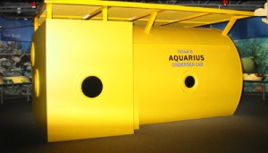 Aquarius exhibit, Florida Keys Eco-Discovery Center in Key West, Florida, USA