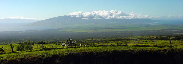 Upcountry - Maui, Hawaii, USA Upcountry on Maui, Hawaii, USA