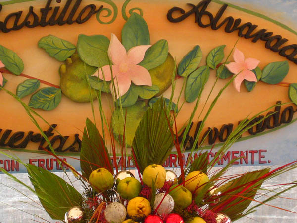 Organic quince producer, Expo Membrillo 2010 - Atotonilquillo, Jalisco, Mexico Organic quince producer, Expo Membrillo 2010, in Atotonilquillo, Jalisco, Mexico