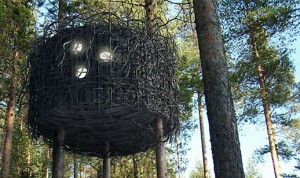 The Bird's Nest, Treehotel near Harads, Sweden
