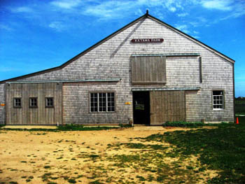 historic Katama Farm on Martha's Vineyard, Cape Cod, Massachusetts, USA