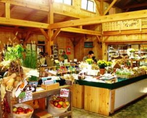 Morning Glory Farm market on Martha's Vineyard, Cape Cod, Massachusetts, USA