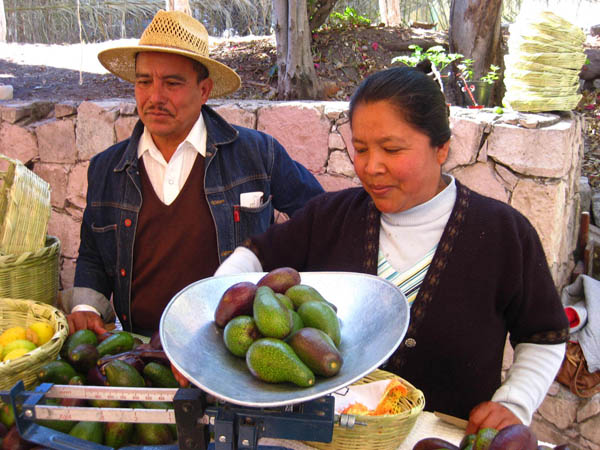 Organic farmers market in San Miguel de Allende, Guanajuato, Mexico