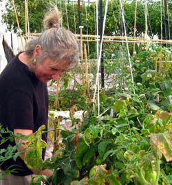 Dianne Kushner in her organic garden, Rancho Casa Luna in San Miguel de Allende, Guanajuato, Mexico