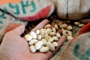 Organic beans for sale at Kheti Bazaar in Kathmandu, Nepal