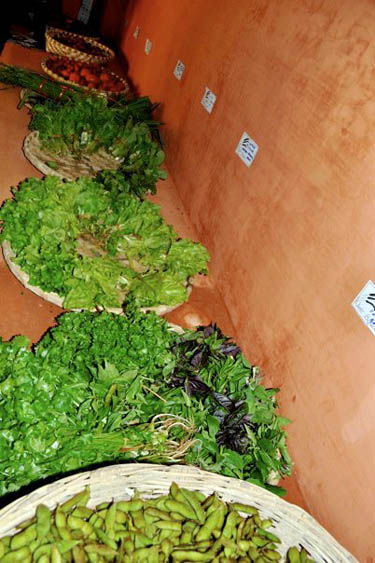 Organic vegetables for sale at Kheti Bazaar in Kathmandu, Nepal
