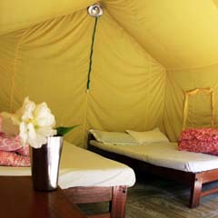 Safari tent at The Last Resort in Nepal