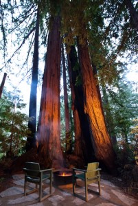 Firepit at Glen Oaks Big Sur in Big Sur, California USA