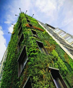 How green is your hotel?