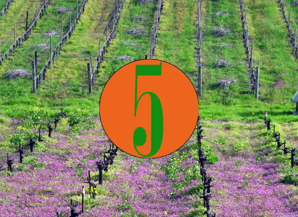 5 great Green Wine Country to do's 5 great Green Wine Country to do's