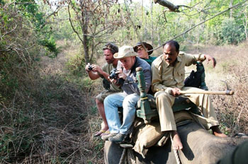 Elephant-back tourists, Kanha National Park in India