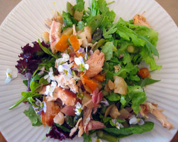 Smoked rabbit and warm seasonal vegetable salad at The Cooks' House, Traverse City, Michigan USA