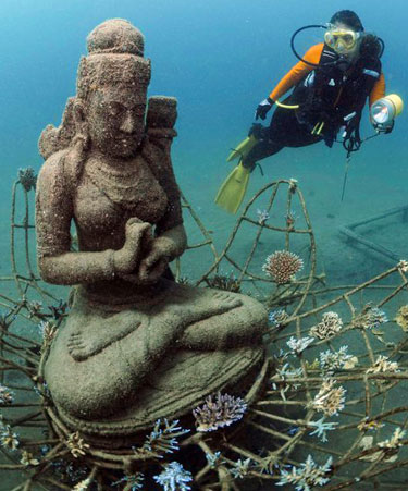Coral Goddess biorock reef by Cynthia Gregory - Bali, Indonesia Coral Goddess biorock reef by Cynthia Gregory in Bali, Indonesia