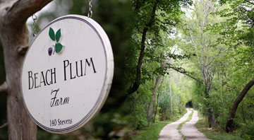 Certified organic Beach Plum Farm in West Cape May, NJ, USA