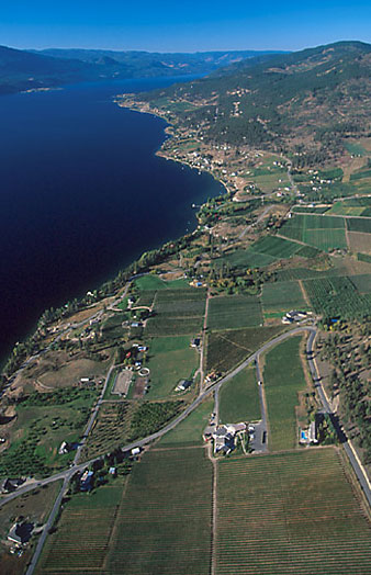 Vineyards, croplands - Okanagan Valley, British Columbia, Canada Vineyards, croplands of Okanagan Valley, British Columbia, Canada