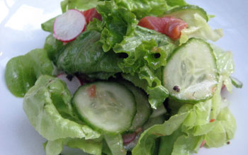 Organic summer salad, Waterfront Restaurant & Wine Bar - Kelowna, British Columbia, Canada Organic summer salad, Waterfront Restaurant & Wine Bar in Kelowna, British Columbia, Canada