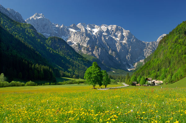 Logarska Dolina in Slovenia
