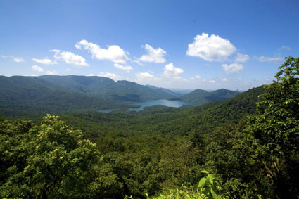 Swapnagandha Valley, Wildernest in Goa, India