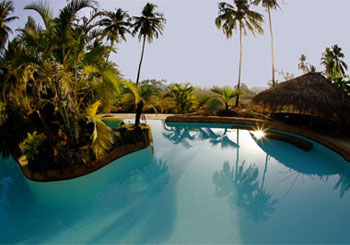 Infinity pool, Yoga Magic in Anjuna, Goa, India
