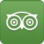 TripAdvisor survey: travelers going greener